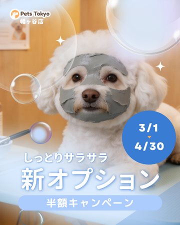 【PetsTokyo 幡ヶ谷店店】しっとりサラサラ新オプション半額キャンペーンを３月より開催