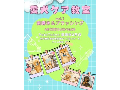 【PetsTokyo 豪徳寺2号店】愛犬ケア教室【歯磨き＆ブラッシング】を6月13日に開催します！