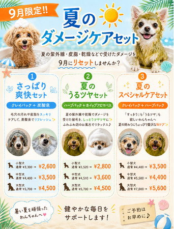 【西大井店】9月限定!!️夏のダメージケアセット🏖☀️