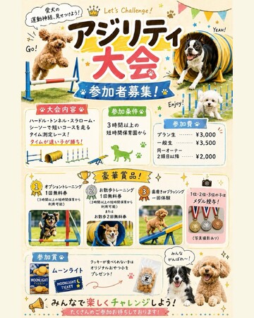 【Pets Tokyo 豪徳寺2号店】運動の秋🍁 アジリティー大会!