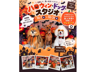 【PetsTokyo 長原店】ハロウィン・ドッグ・スタジオ