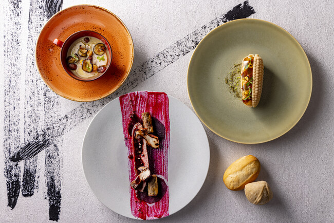 プレスリリース「【ホテルインディゴ犬山有楽苑】TOKO SHINODA ART WORLD IN INUYAMA」のイメージ画像