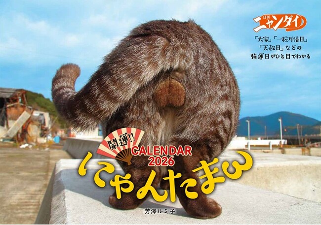 プレスリリース「「日刊ニャンダイ」2026年版カレンダー新ラインナップを加えて発売決定！」のイメージ画像