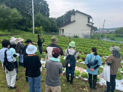 有機野菜を収穫体験！ファン参加型【オーガニックツアー】開催レポート
