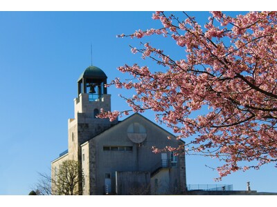【中伊豆ワイナリーヒルズ】ひと足早い春の訪れ「桜色ワインフェア」を開催