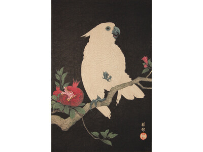 【小布施 北斎館】またとないチャンス!明治・大正・昭和の浮世絵の傑作が集結!特別展「知られざる秀逸コレク...