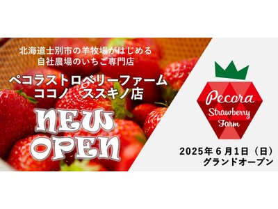 北海道士別市の羊牧場がはじめる自社農場のいちご専門店『ペコラストロベリーファーム』がココノ ススキノにオープン！！