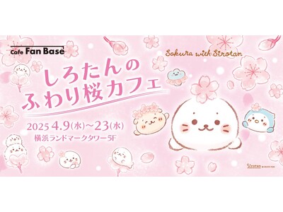 「しろたんのふわり桜カフェ」が横浜・みなとみらい「Cafe Fan Base」にて2025 年 4 月 9 日(水)～4 月 23 日(水)の期間限定で開催決定！