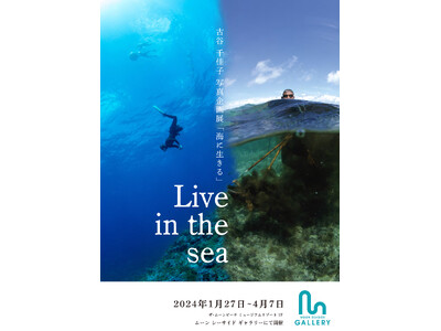 ザ・ムーンビーチ　ミュージアムリゾートにて古谷千佳子写真企画展「Live in the sea 海に生きる」を開催いたします