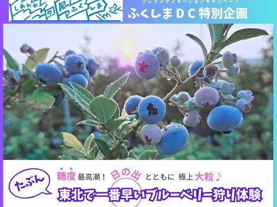 ふくしまプレデスティネーションキャンペーン特別企画　日本唯一のブルーベリーミュージアム　(たぶん)東北で1番早いブルーベリー狩り体験、始まる！［福島県郡山市役所］
