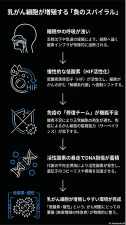 乳がんリスクの“最上流”にあるのは低酸素環境だった──睡眠中の体内環境に関する調査プロジェクトを開始