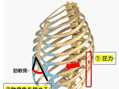 �y�V�����L���O�u�C���i�[�E�����E�i�C�g�E�F�A����v����1�ʂ��l������g���^�j���A�A�X���[�g�����ċz�̍œK���E�F�A�Z�p���^���J�n