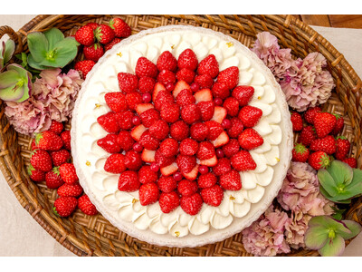 【キル フェ ボン】赤いカーネーションをモチーフにした母の日限定タルト新登場「2026 Mother’s Day」