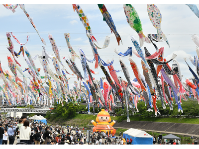 高槻市の芥川上空を1000匹のこいのぼりが泳ぐ