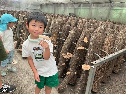 プレスリリース「原木シイタケ狩りや平安歌人ゆかりの地を巡るツアーなど高槻の魅力満載」のイメージ画像