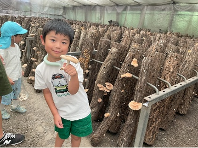 原木シイタケ狩りや平安歌人ゆかりの地を巡るツアーなど高槻の魅力満載