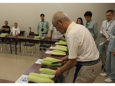 なにわの伝統野菜 高槻の「服部越瓜(しろうり)」が旬を迎える