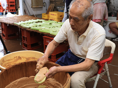 高槻市特産「服部越瓜(しろうり)」の漬け込み作業が最盛期