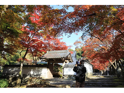 高槻市の古刹「神峯山寺」で紅葉が見頃