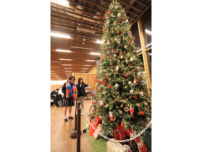 高槻市の安満遺跡公園パークセンターに365センチメートルのクリスマスツリーが展示中