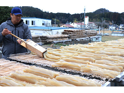 江戸時代から続く高槻市の冬の風物詩「寒天づくり」が最盛期
