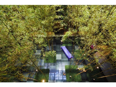 【ギャリア・二条城 京都】「Global Wellness Day（グローバルウェルネスデイ）2023」早朝ヨガと鴨川ランニングイベント開催