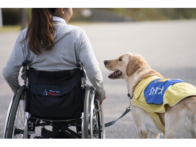 介助犬支援のチャリティープロジェクト！！　　　　　　　　　　　　　１０年後の未来へ贈る手紙「時の便り」をクラウドファンディングで限定発売！！