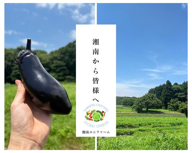 湘南の畑から“やさしさ野菜”をお届け。株式会社ユニファイヘルスケアが運営する「湘南ユニファーム」、行幸マルシェに初出店