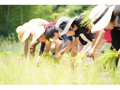 「竹林のスコレー」4年目の御田植祭＆手植え体験イベントを開催｜6月30日（火）、岡山・倉敷の田んぼで子どもたちと豊作祈念