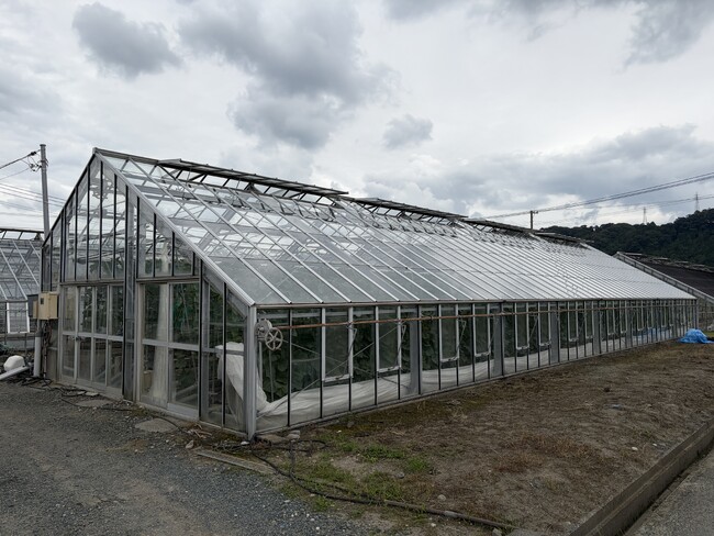 静岡県磐田市における施設園芸の高度化に向けた実証実験の開始
