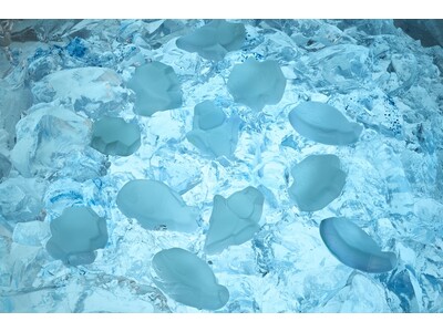 北海道の冬の魅力を詰め込んだ「流氷グミ」を新発売！人生で一度は、流氷を見に来て欲しい。