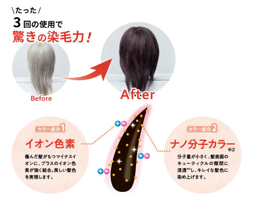 【新発売】トリートメントだけど、しっかり染まる！シーク史上最高の染毛力「SEAC（シーク）ヘアカラートリートメント」を発売。