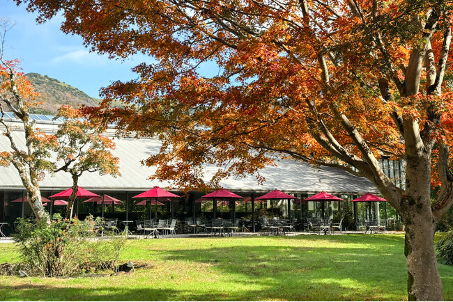 【Hakone Emoa Terrace】紅葉に染まる箱根の秋。その絶景を眺めながら楽しむ、いちじくなど旬の味覚を使った新作スイーツが登場