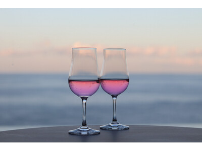 【伊豆リトリート 熱川粋光】見て、飲んで、味わう、河津桜ステイ