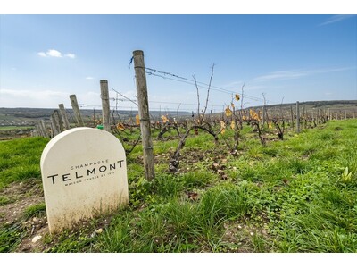 【Cuvee J2 Hôtel Osaka】「ヴィノテーク1985」40年の時間を紐解く一夜テルモン メーカーズディナーを開催 | 2026年7月24日（金）