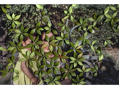 「LOBA Women Grant」を2026年に創設