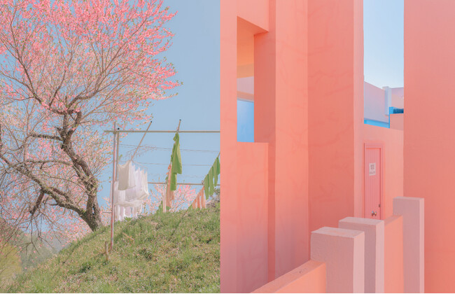 プレスリリース「テレサ・フレイタス 写真展「Meeting Point」」のイメージ画像