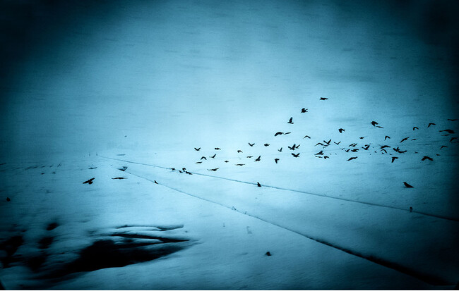 小川康博 写真展「Dream / Silence ― 夢と沈黙のあいだ」