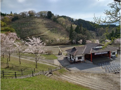 【瀬戸内海エリア向け】瀬戸内オリーブ基金ゆたかなふるさと助成募集開始（上限100万円／件、総額1000万円）