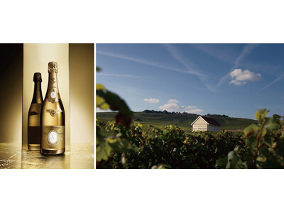 シャンパーニュの名門「ルイ・ロデレール」創業250周年を祝うメーカーズディナーを開催