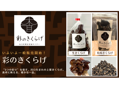 「彩(さい)のきくらげ」楽天市場T-BOXで販売開始 埼玉県川口市の新聞印刷工場が栽培