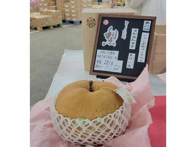 （株）バローが第25回ジャンボ梨コンテストで優勝した2.8kｇの愛宕梨を販売！