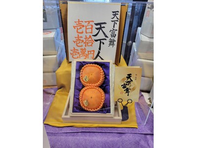 （株）バローが岐阜県産の高級ブランド柿「天下富舞（てんかふぶ）」を111万円で落札！