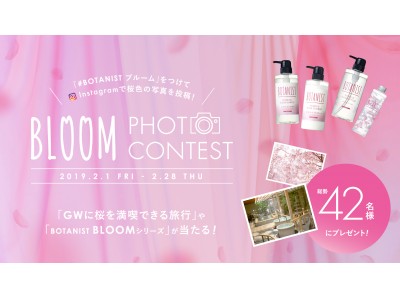 桜色の写真を投稿して、GWに桜を満喫できる旅行が当たる！「BLOOM PHOTO CONTEST」2月1日(金)より開催