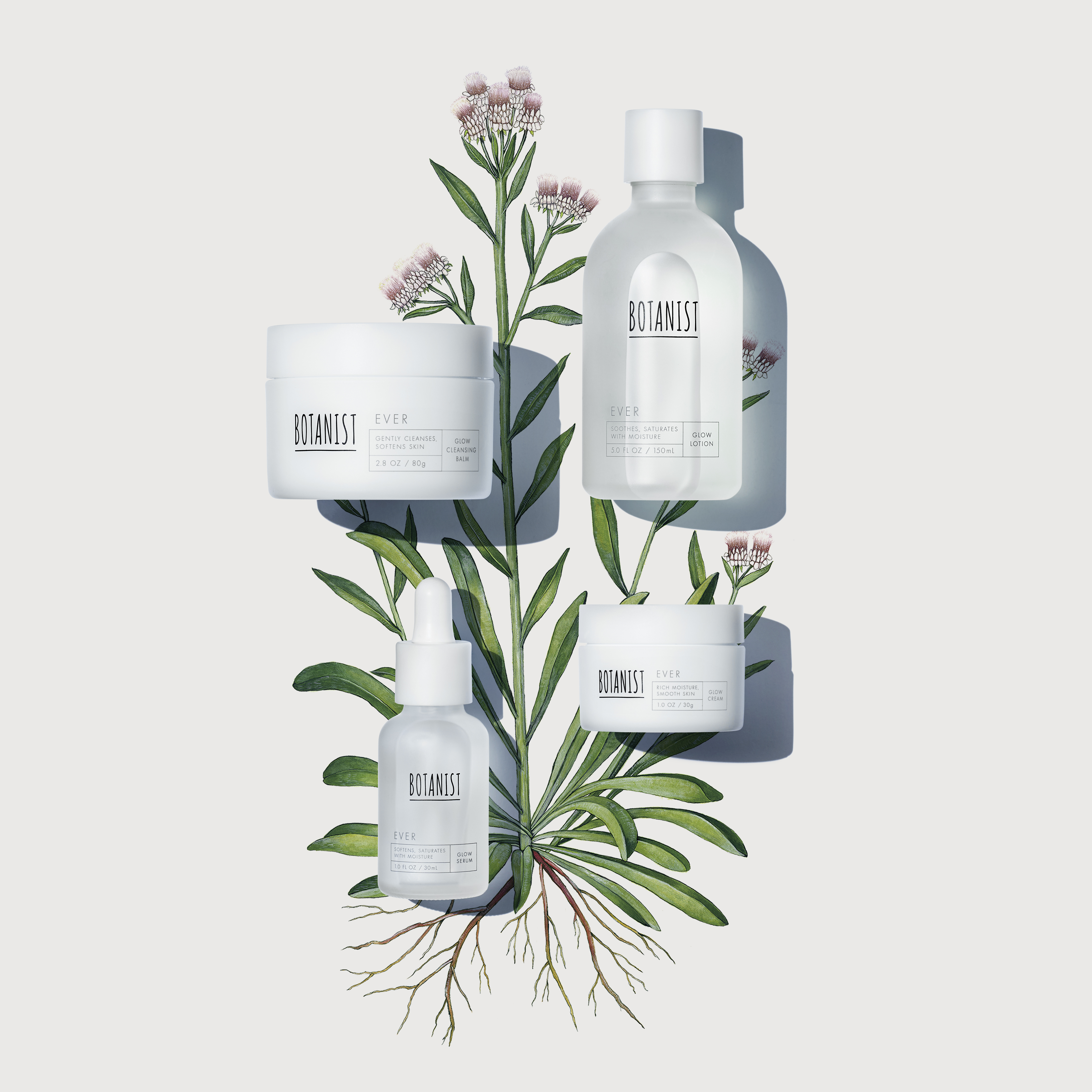 BOTANIST からファーストエイジングケア*シリーズ「BOTANIST SKINCARE EVER」発売。世界初** エゾノチチコグサによる植物幹細胞の力で、凛としたハリ肌へ