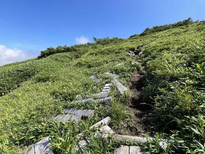 【岐阜県飛騨市】北アルプスの名峰北ノ俣岳、登山道が“危険信号”！安全な登山道を未来に残すために「登山道整...