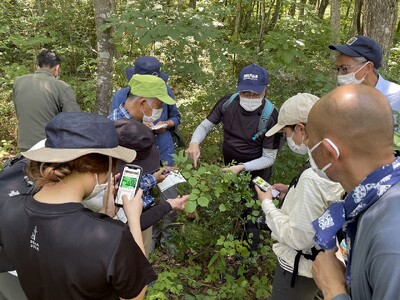 【岐阜県飛騨市】日本一の森林率を誇るまちで楽しむ「森フェス」~薬草と森を楽しむ特別なひとときを
