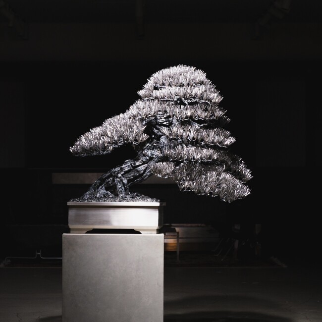 TRADMAN'S BONSAI × SUWADA 盆栽鋏になれなかった鋼が、盆栽作品へ