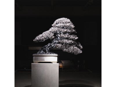 TRADMAN'S BONSAI × SUWADA　盆栽鋏になれなかった鋼が、盆栽作品へ。