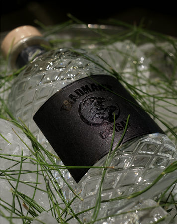 プレスリリース「盆栽から、香りの一滴へ。TRADMAN’S BONSAI、“松葉”を蒸溜したクラフトジンを新発売」のイメージ画像